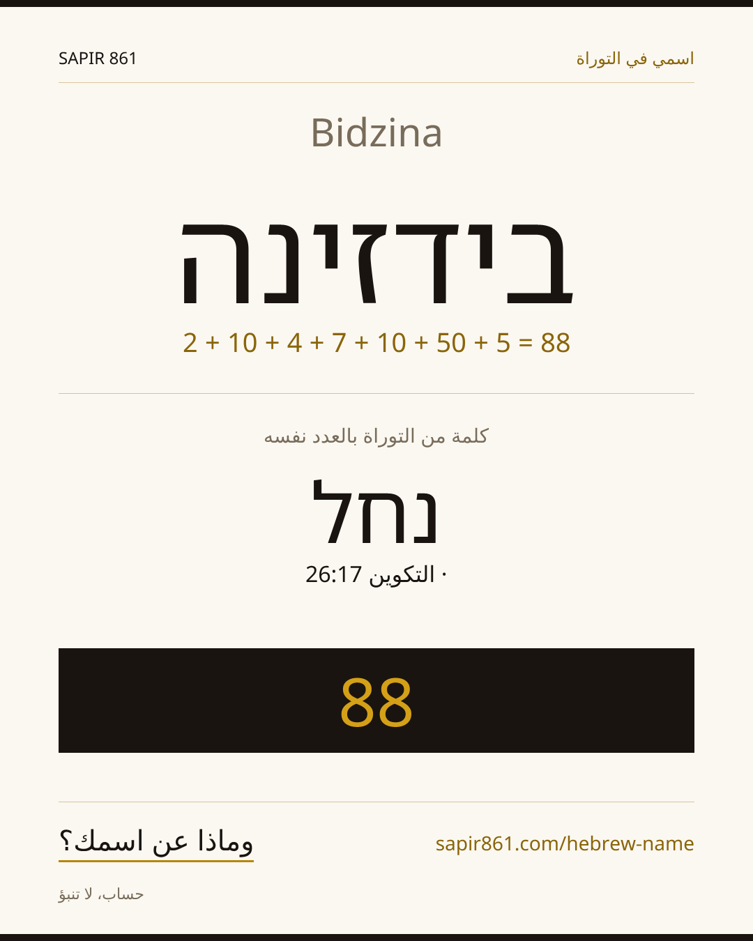 Bidzina — בידזינה