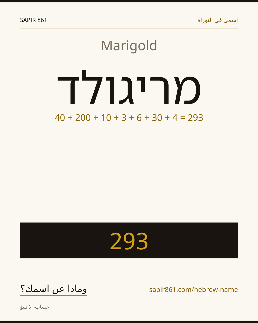Marigold — מריגולד