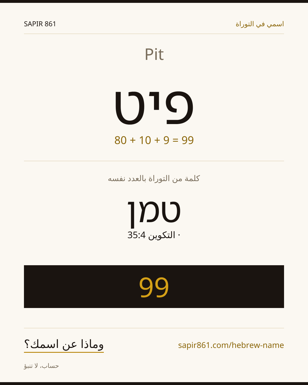 Pit — פיט