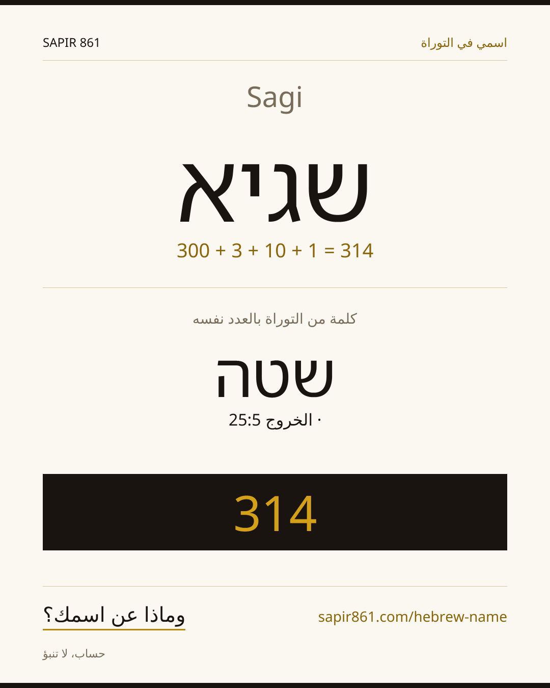 Sagi — שגיא