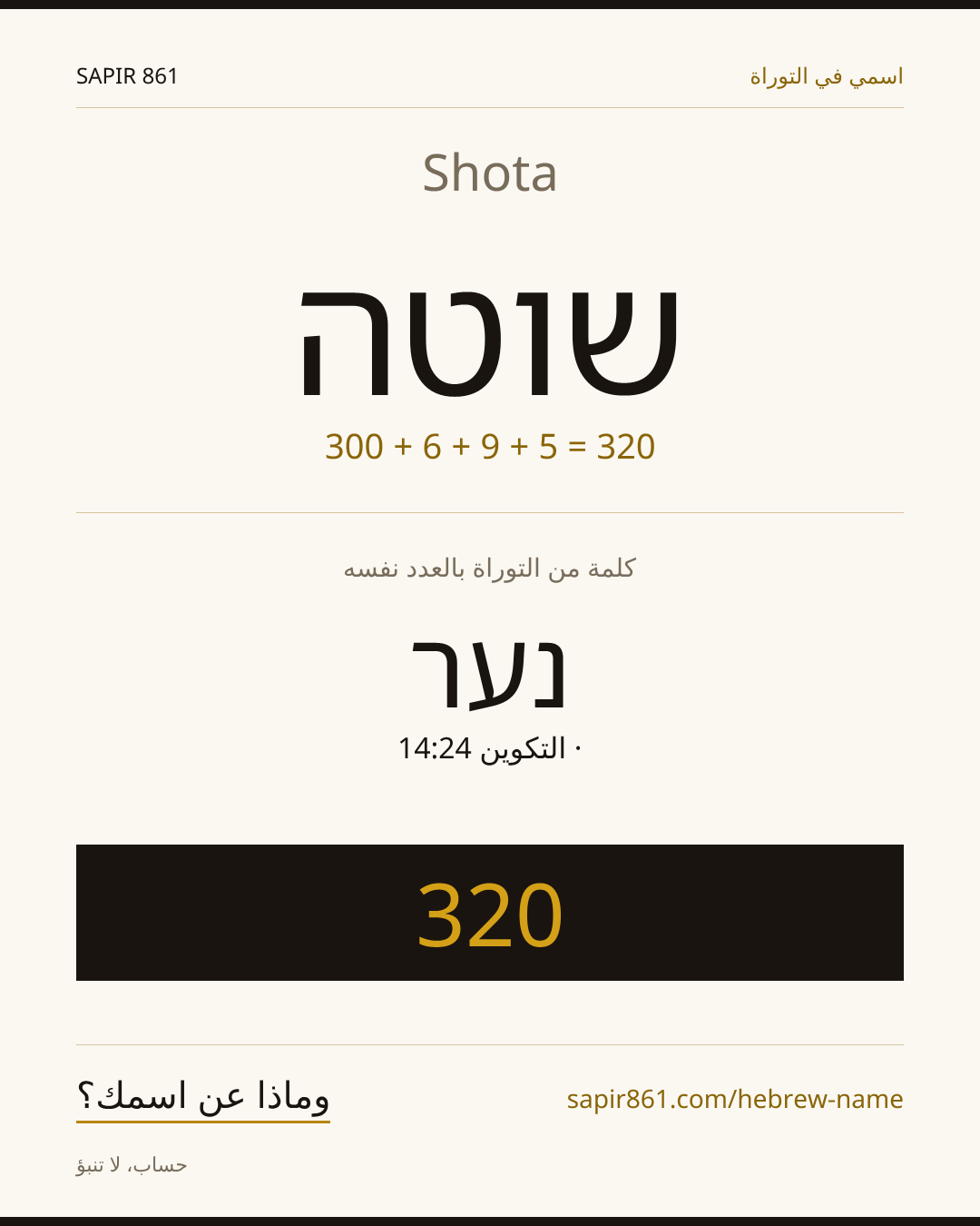 Shota — שוטה