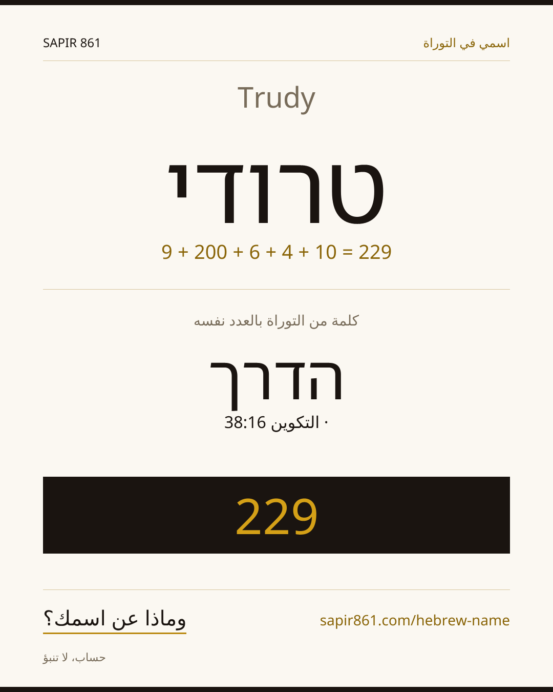 Trudy — טרודי
