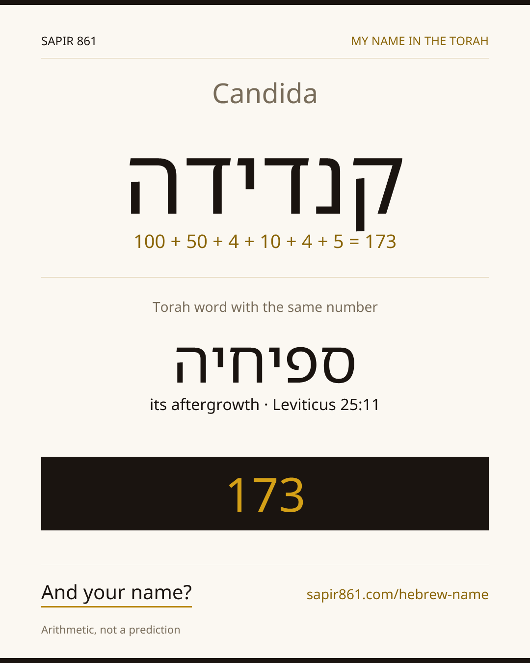 Candida — קנדידה