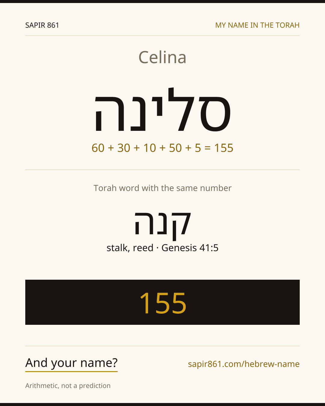 Celina — סלינה