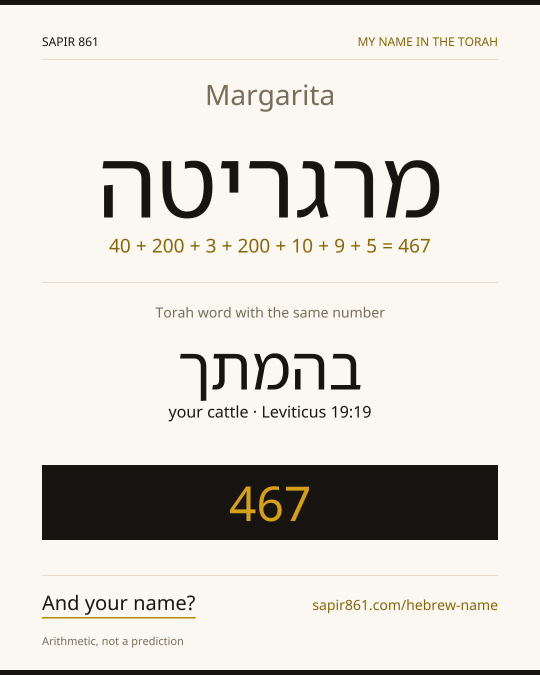 Margarita — מרגריטה