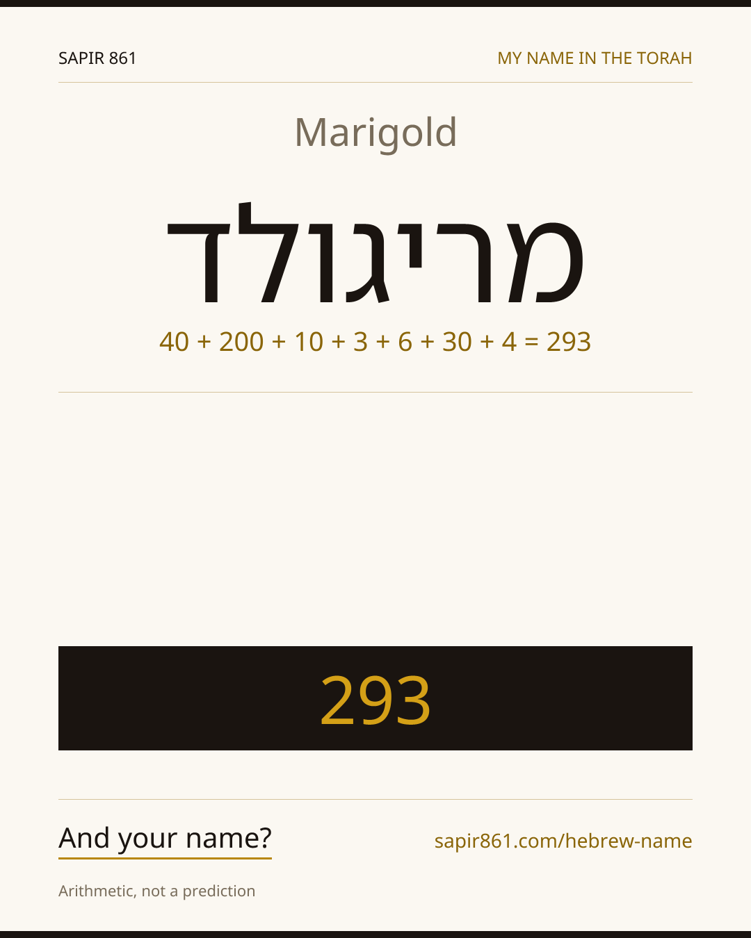 Marigold — מריגולד