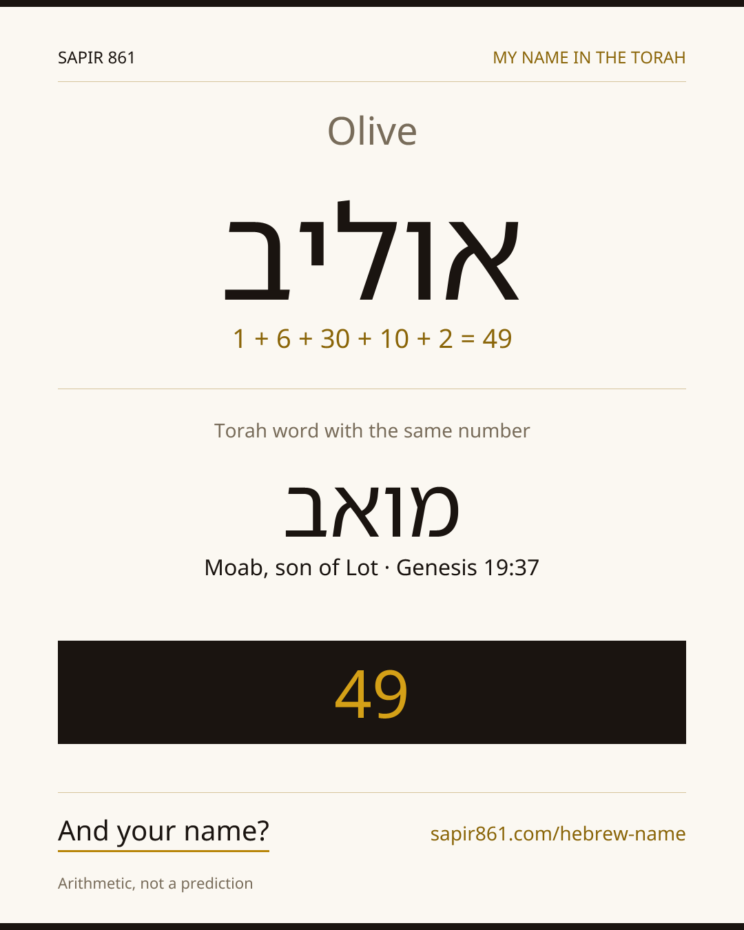 Olive — אוליב