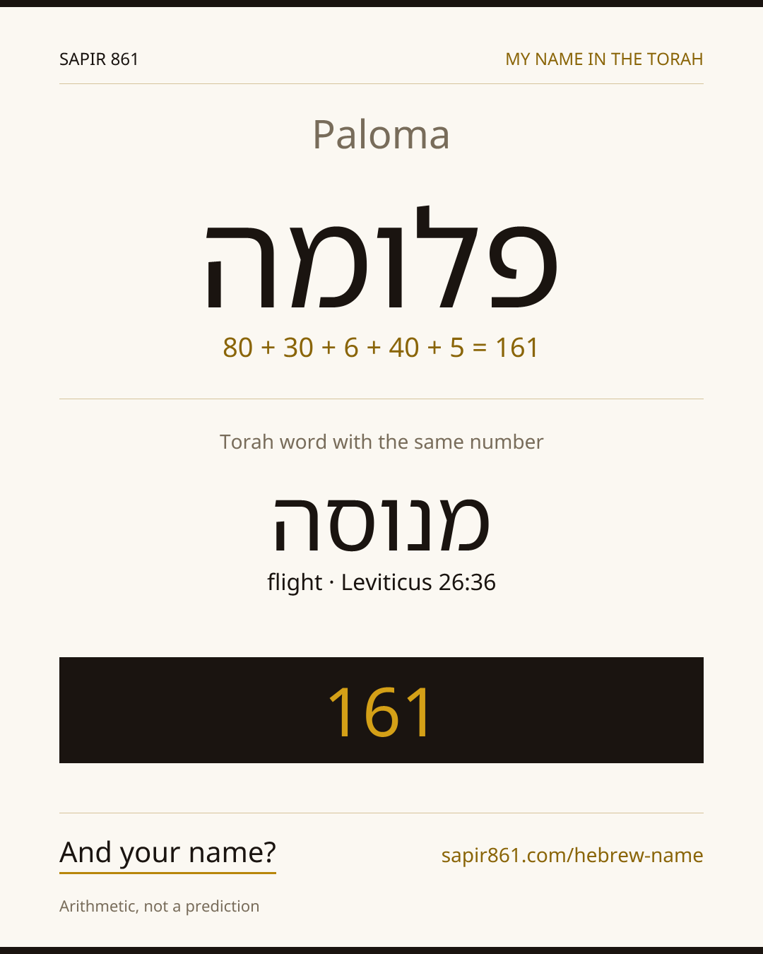 Paloma — פלומה