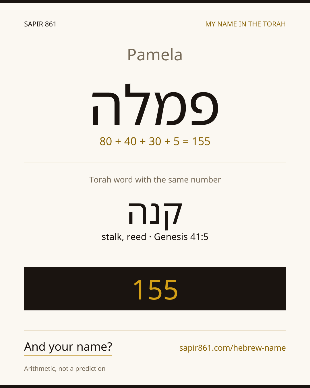Pamela — פמלה