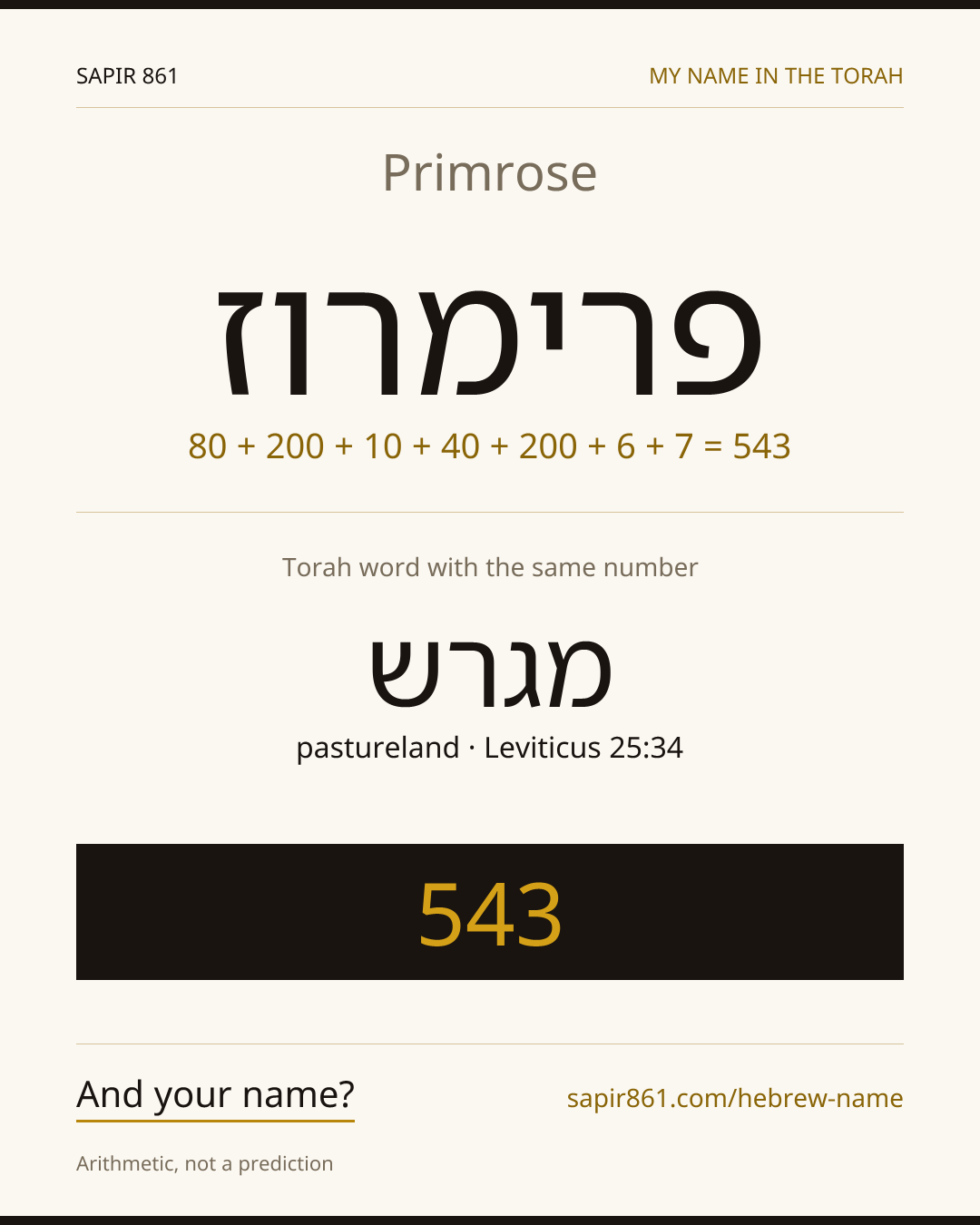 Primrose — פרימרוז