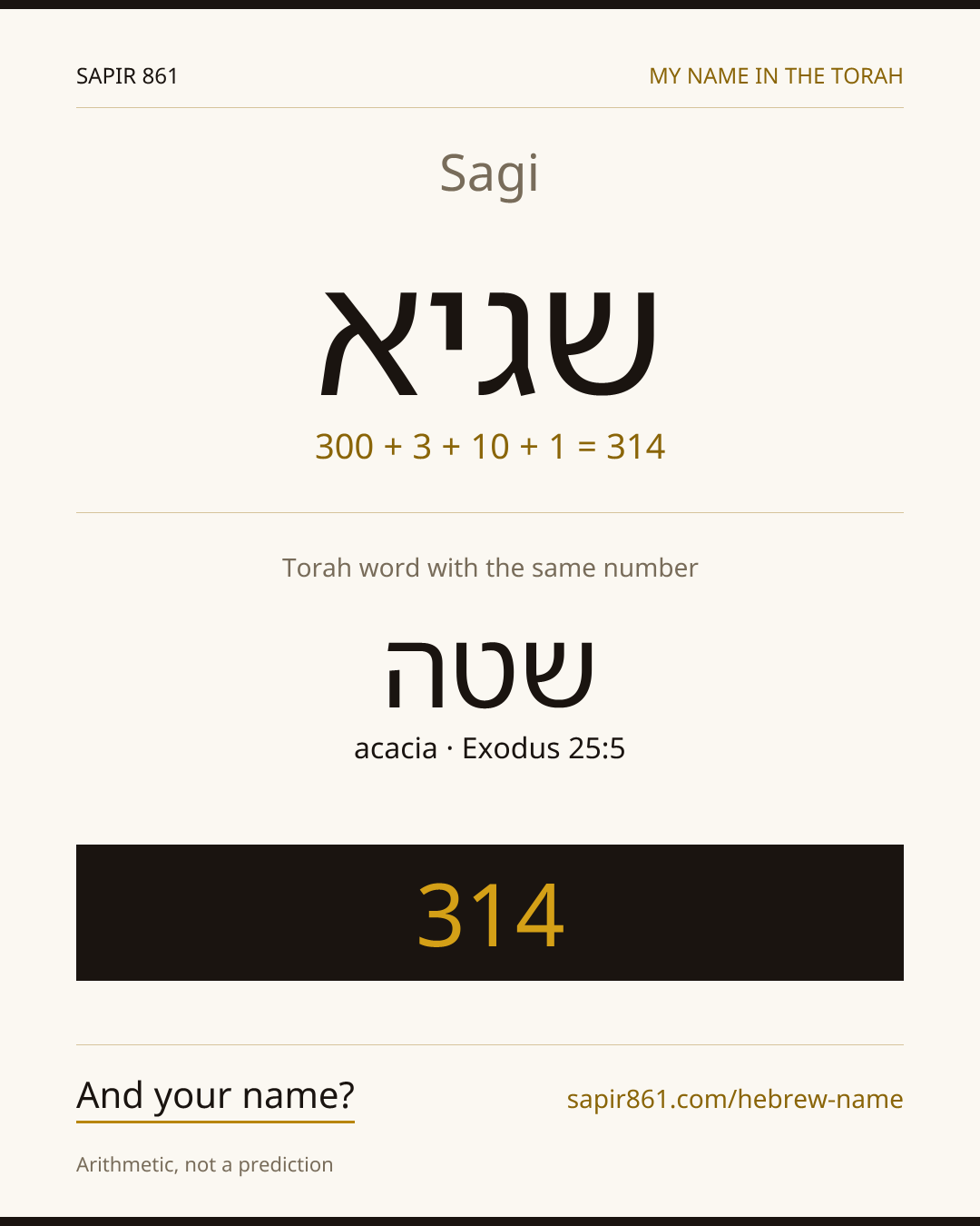 Sagi — שגיא