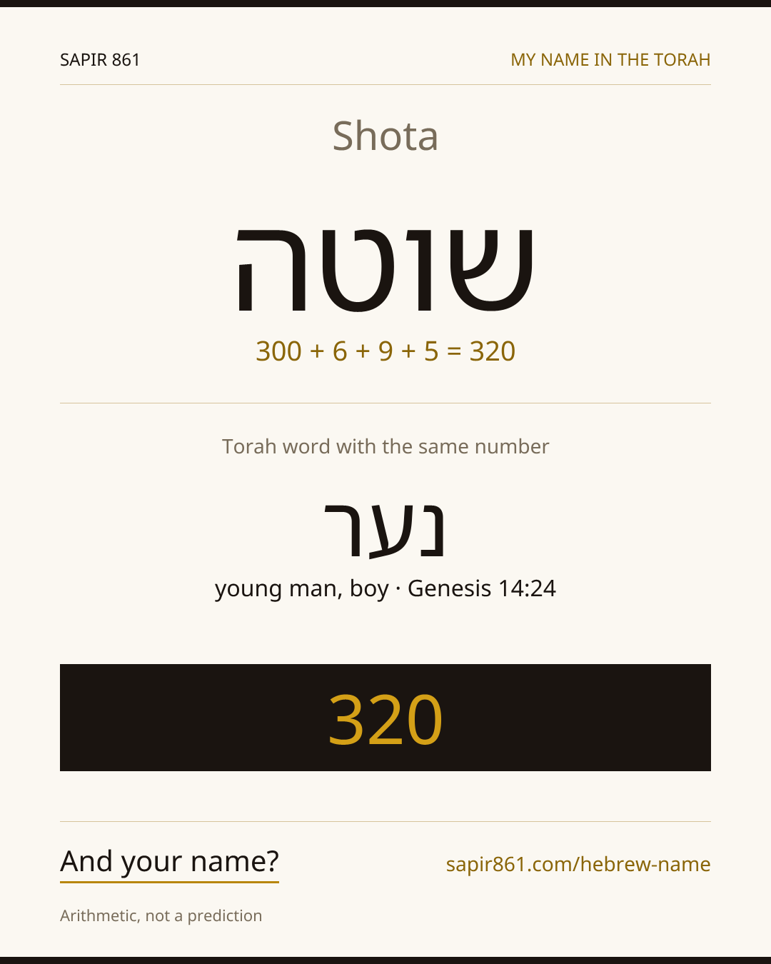 Shota — שוטה