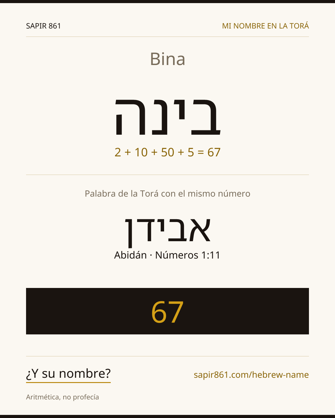 Bina — בינה