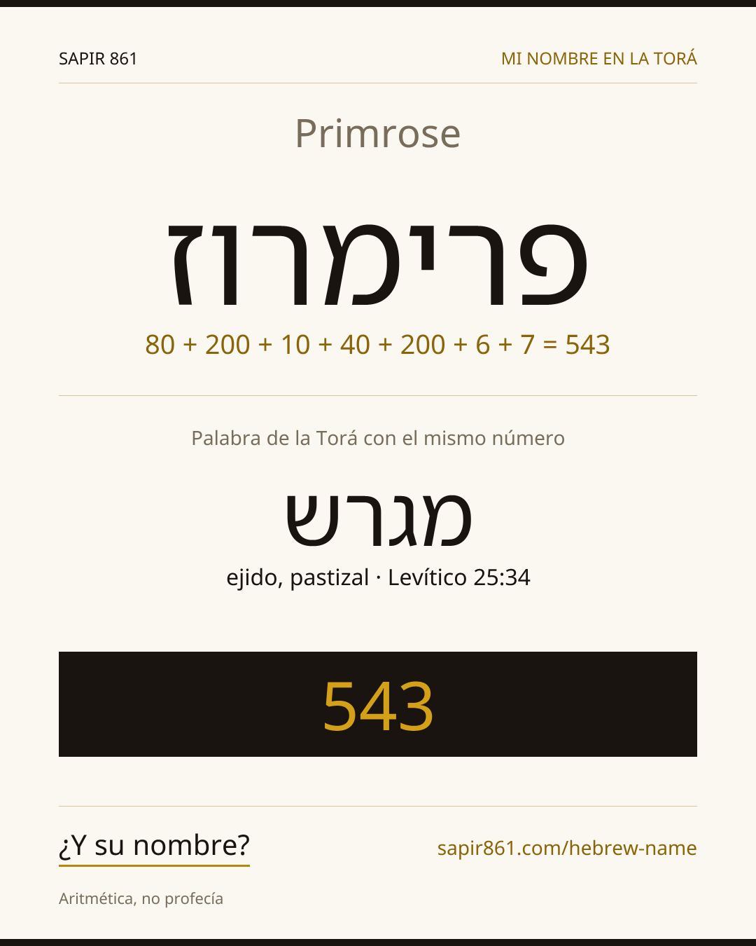 Primrose — פרימרוז