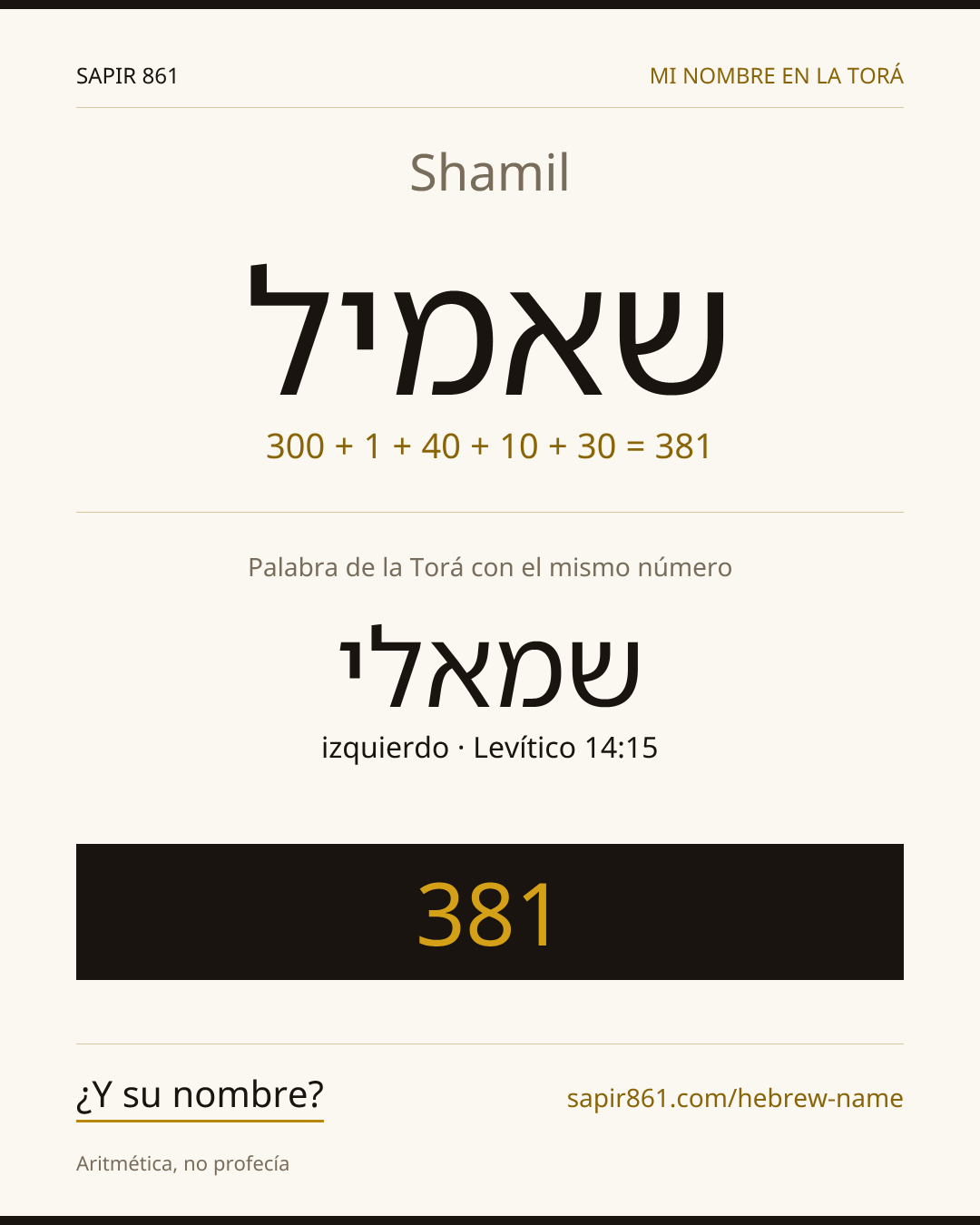 Shamil — שאמיל