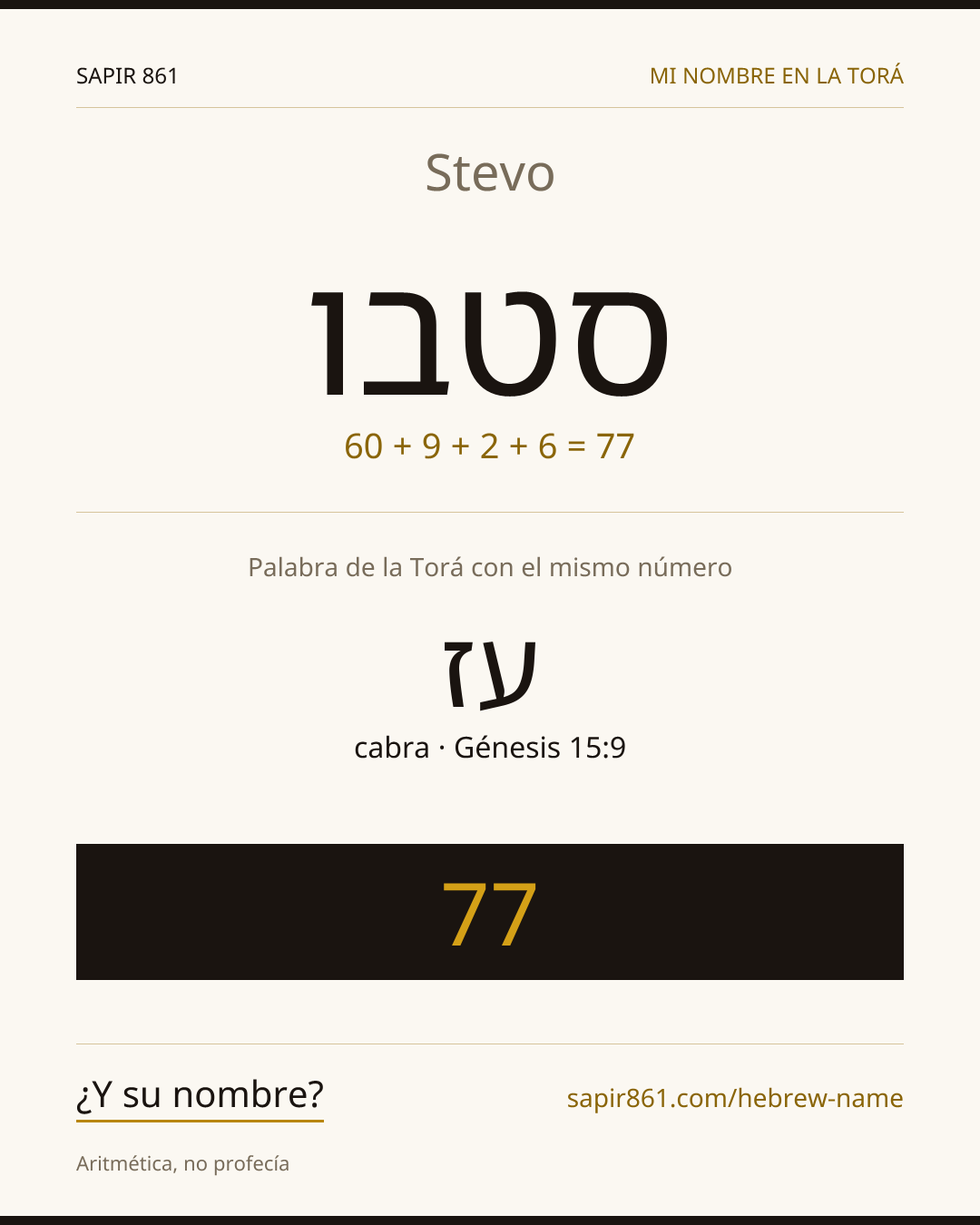 Stevo — סטבו
