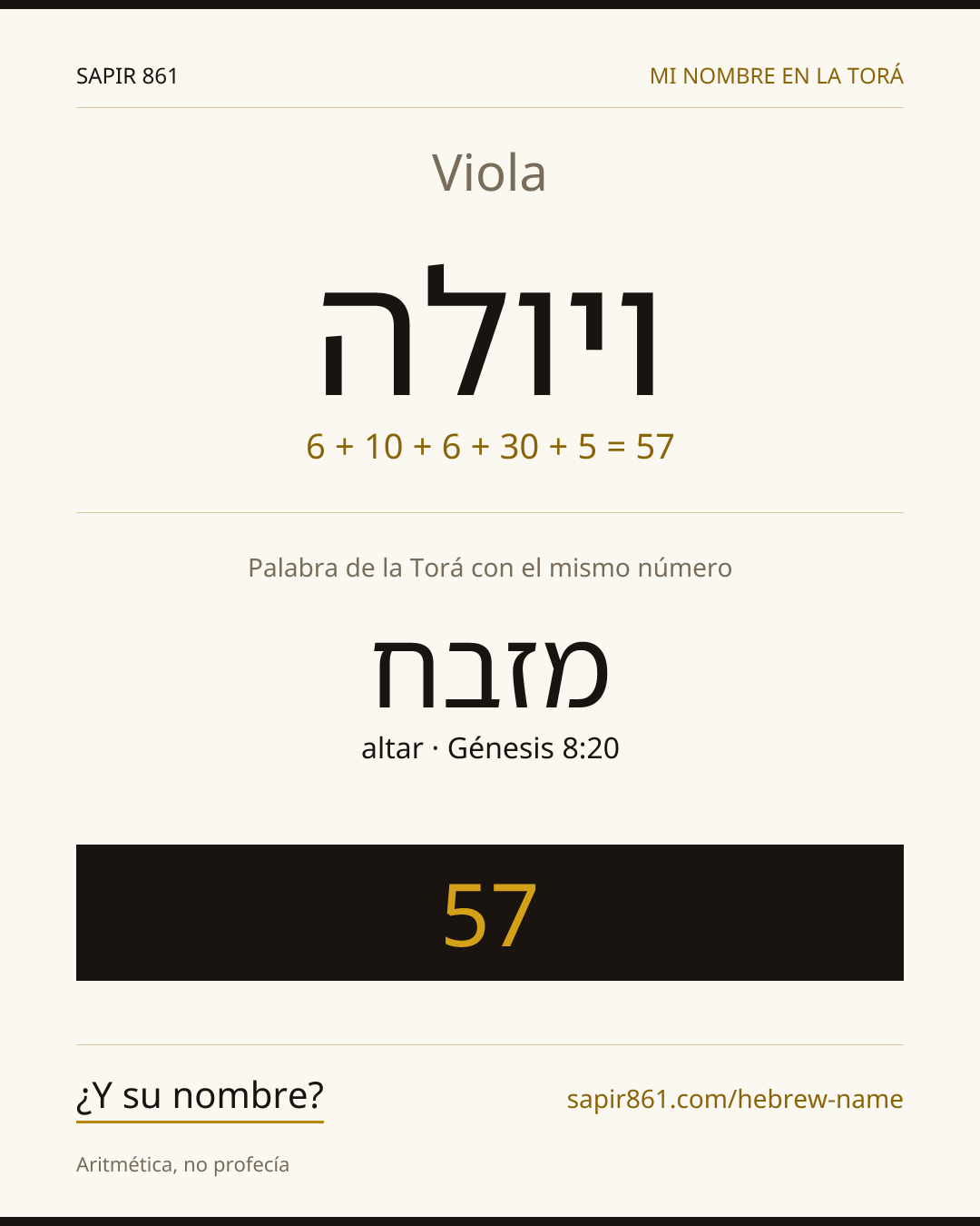 Viola — ויולה