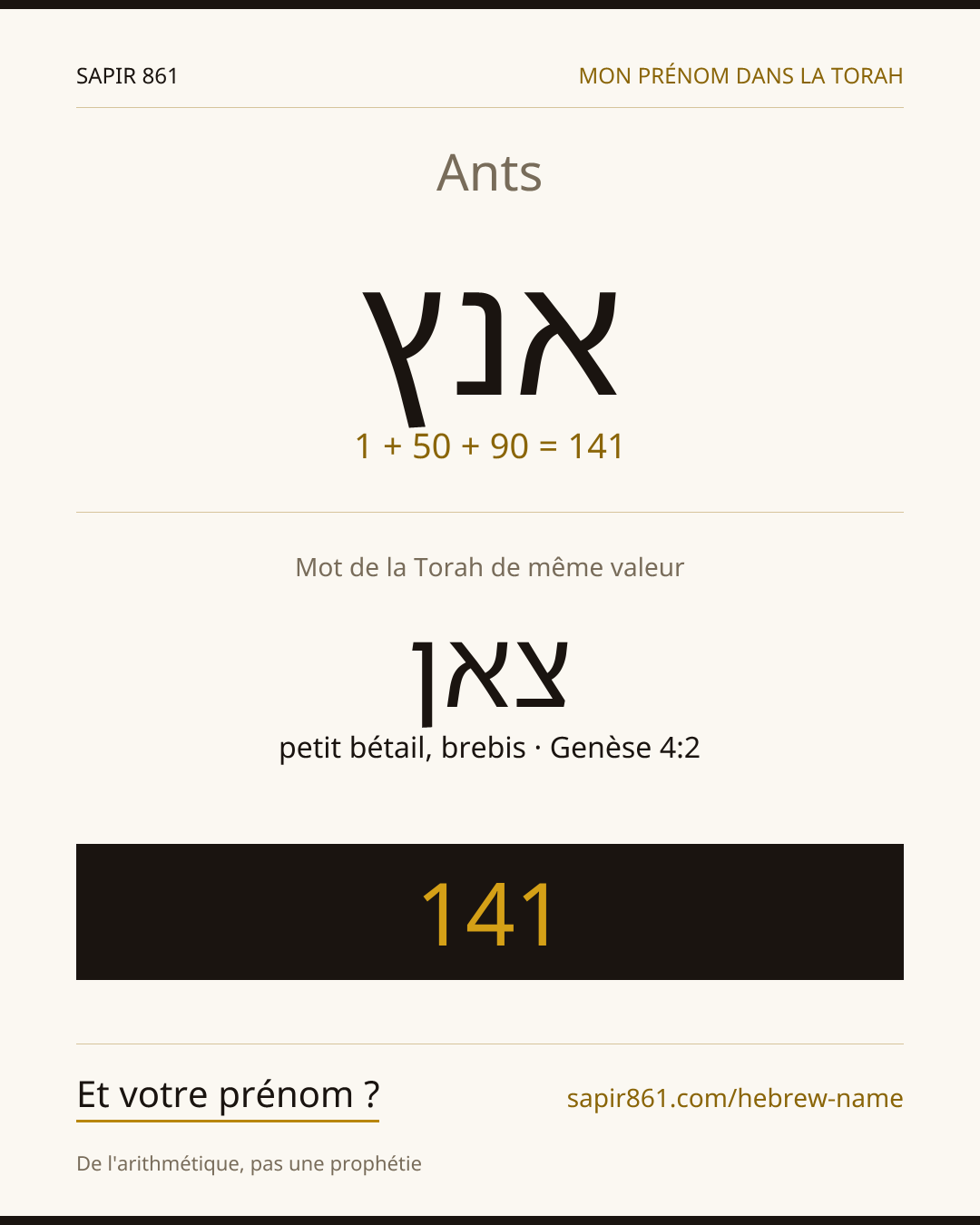 Ants — אנץ