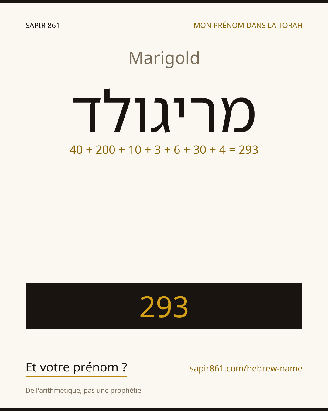 Marigold — מריגולד