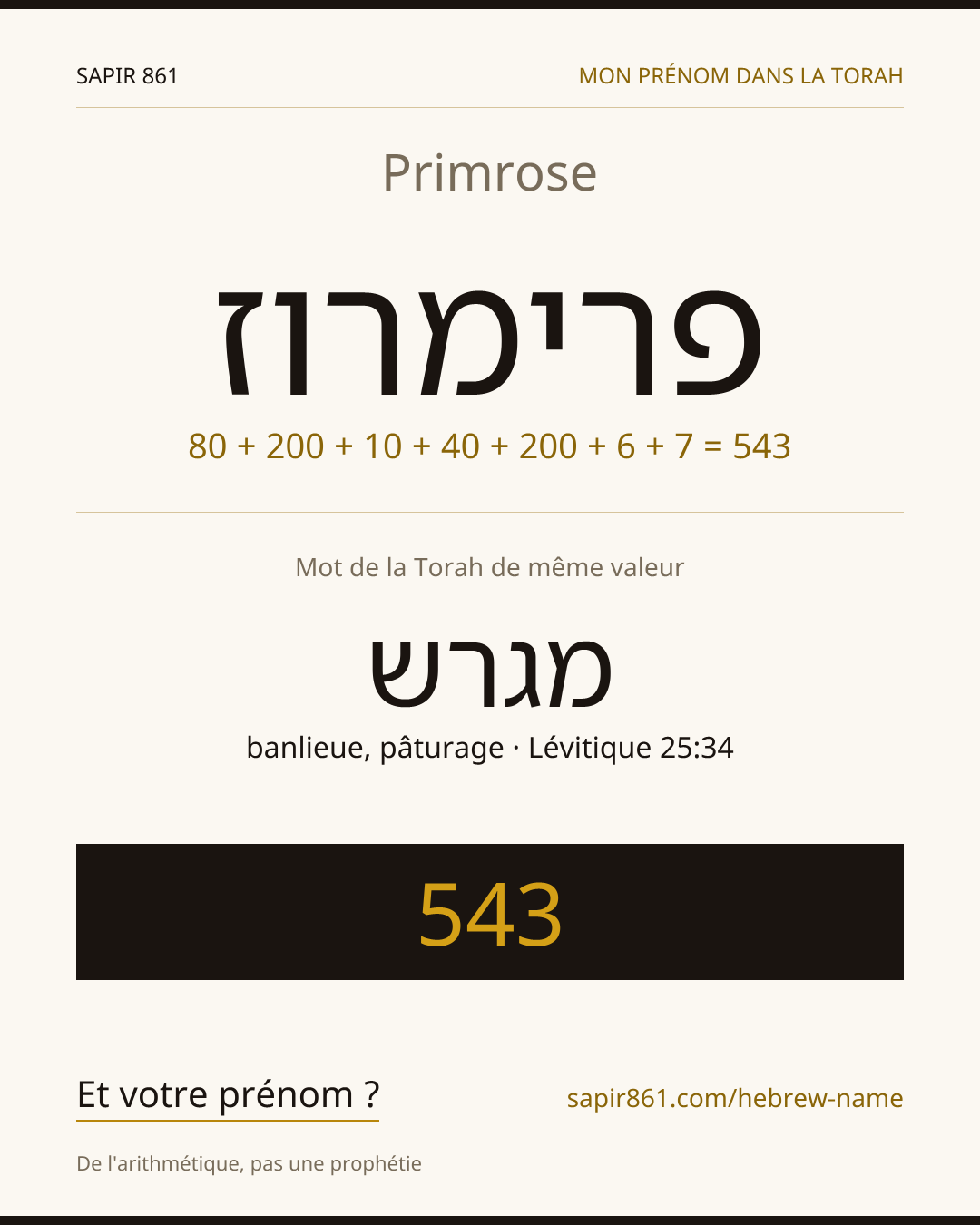Primrose — פרימרוז