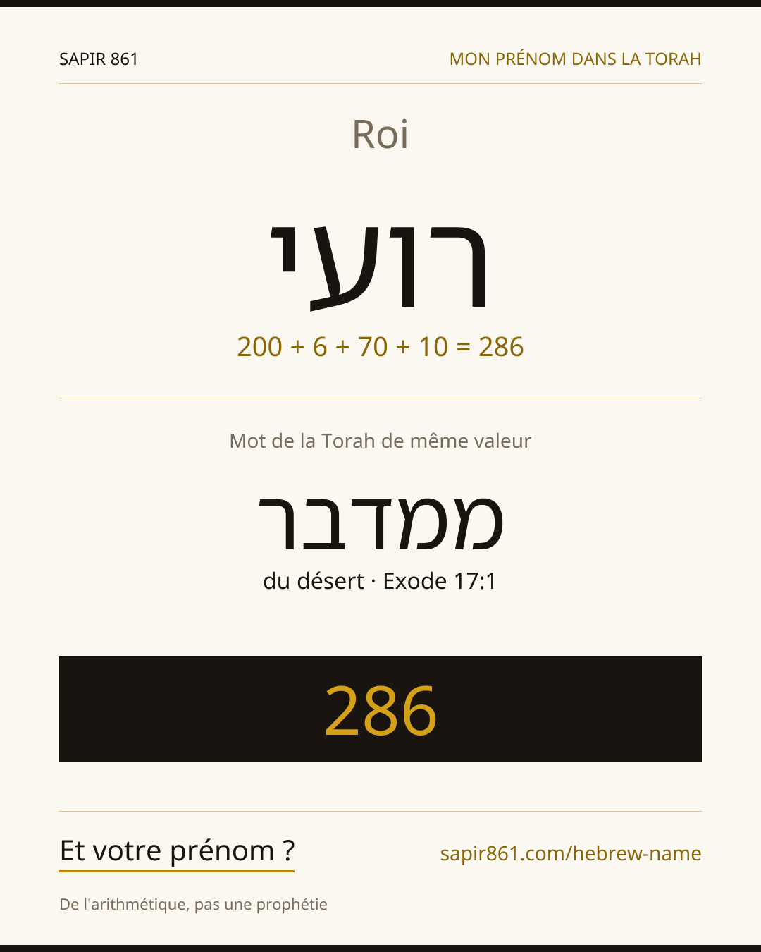 Roi — רועי