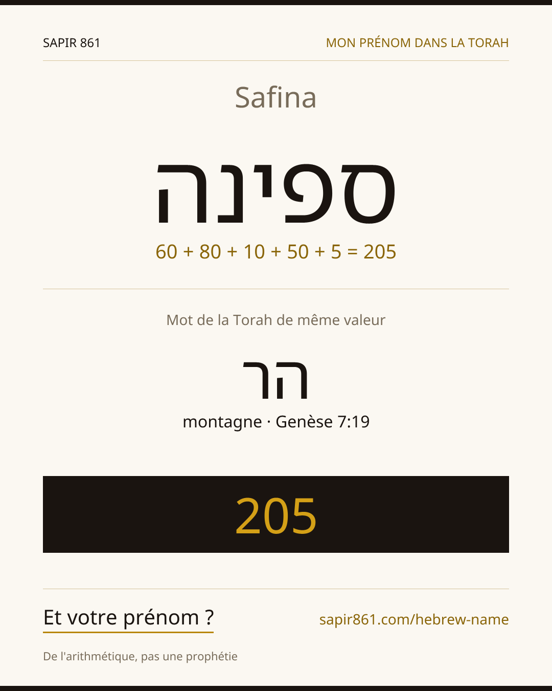 Safina — ספינה