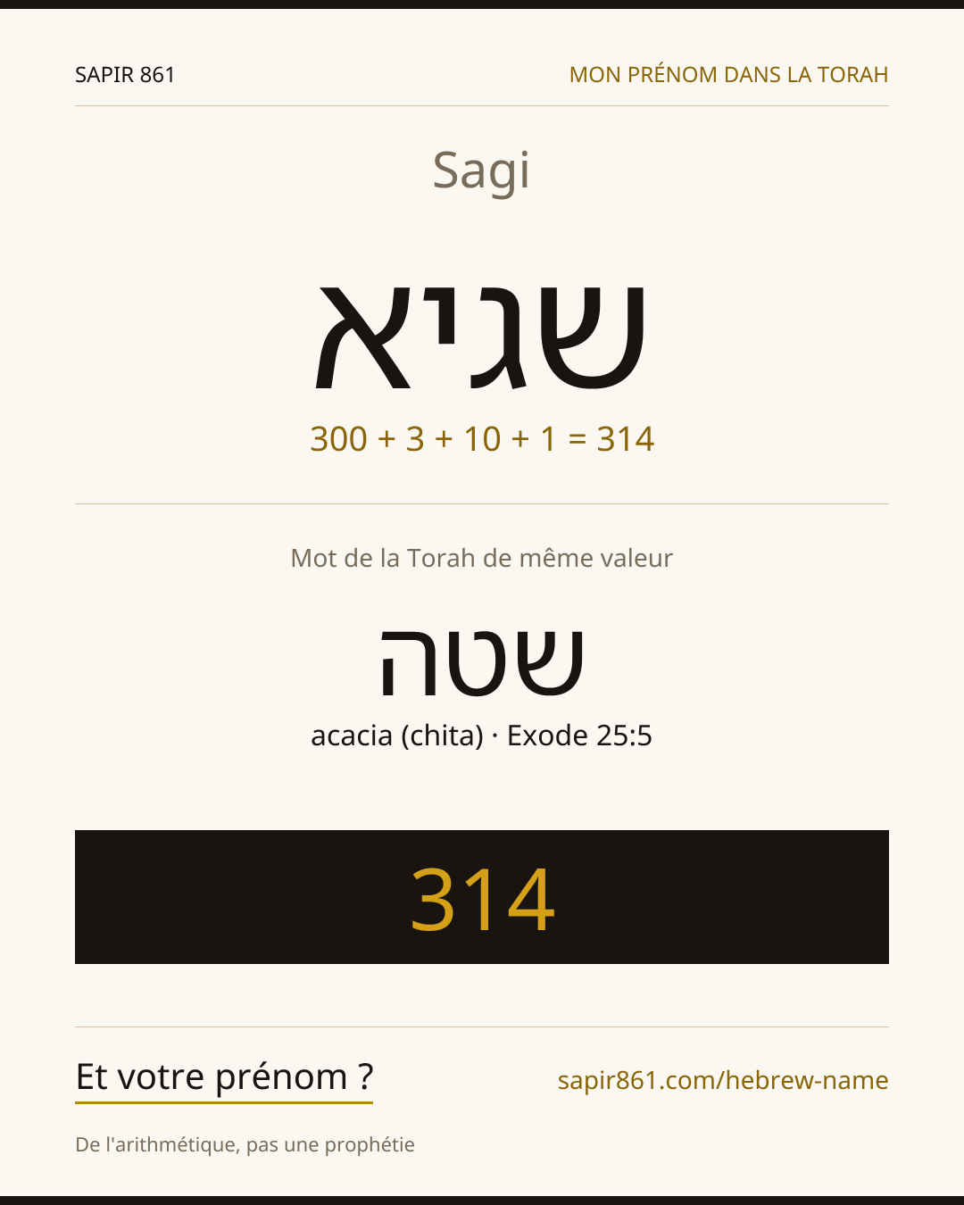Sagi — שגיא