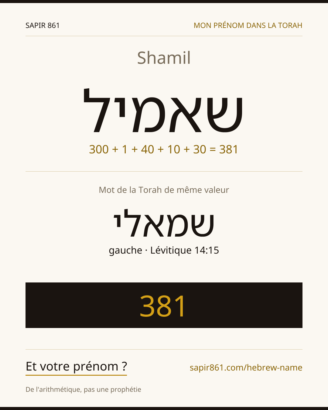 Shamil — שאמיל