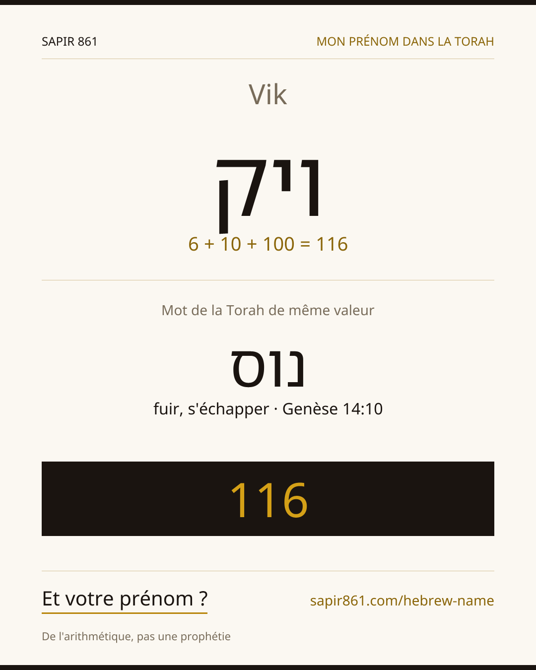 Vik — ויק