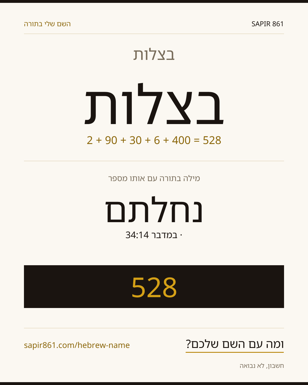 בצלות — בצלות