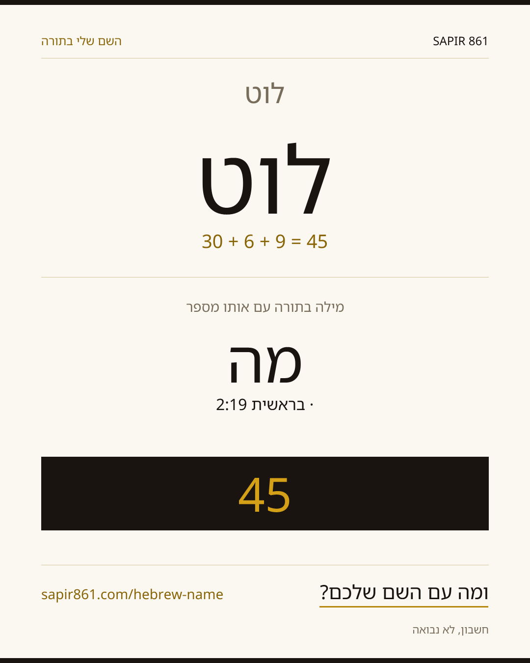 לוט — לוט
