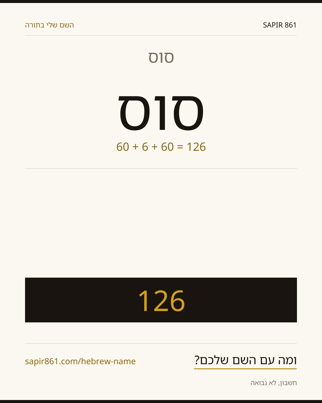 סוס — סוס