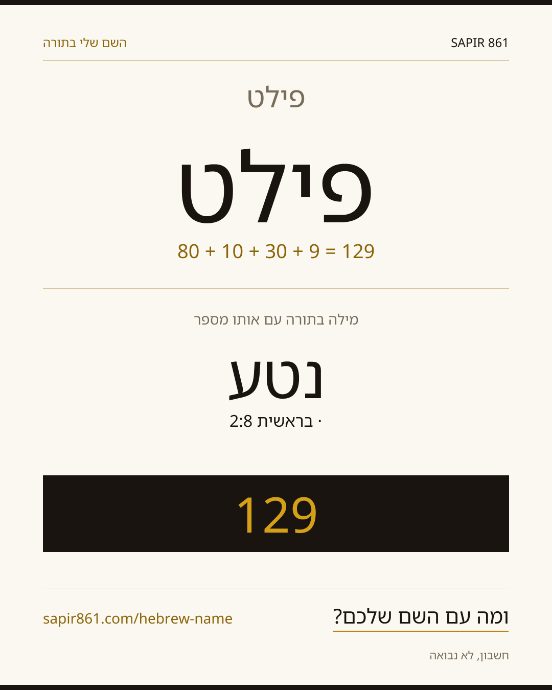 פילט — פילט
