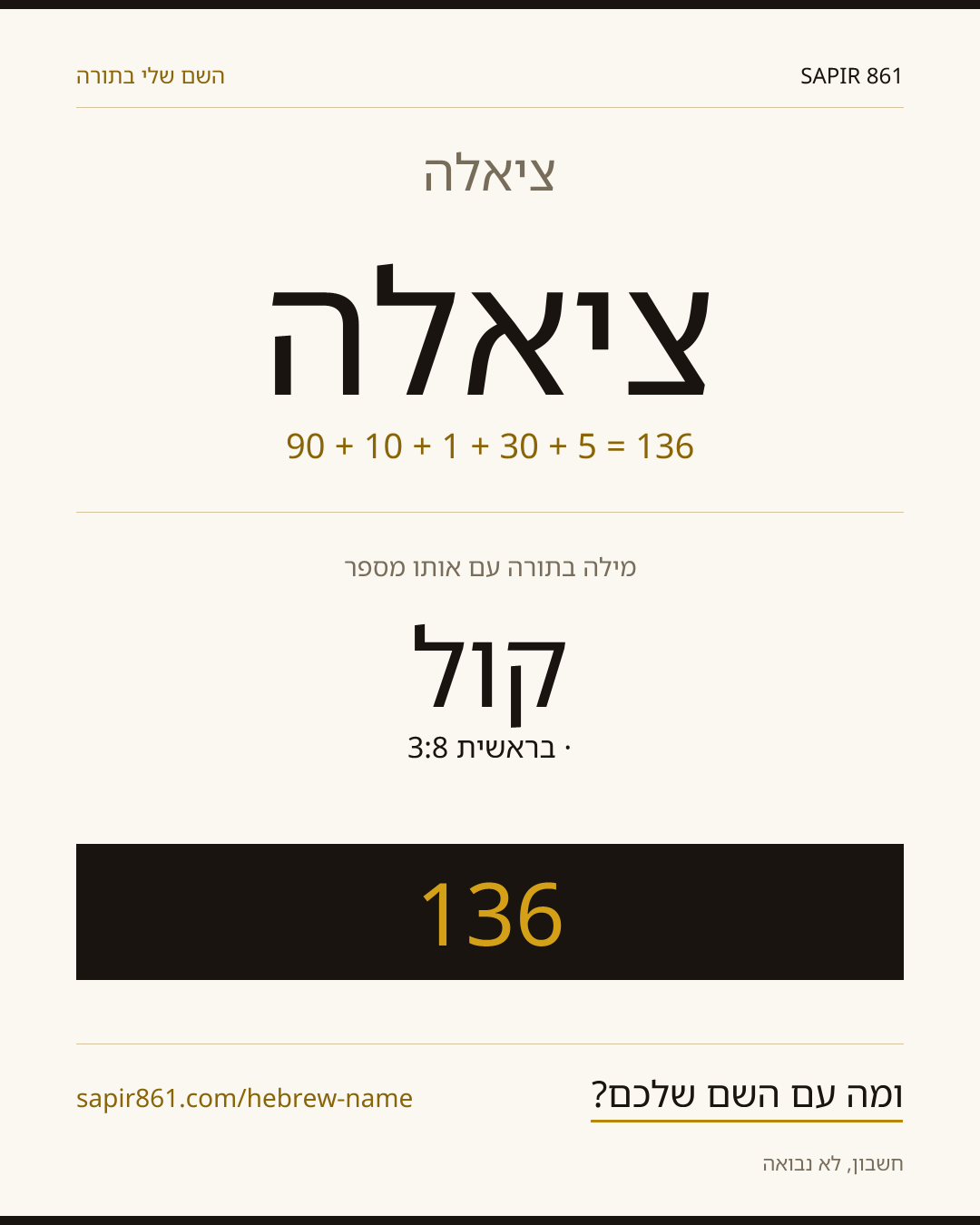 ציאלה — ציאלה