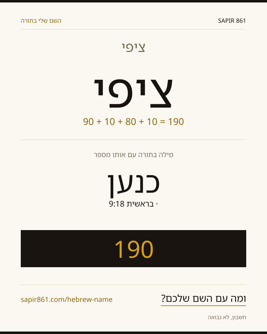 ציפי — ציפי
