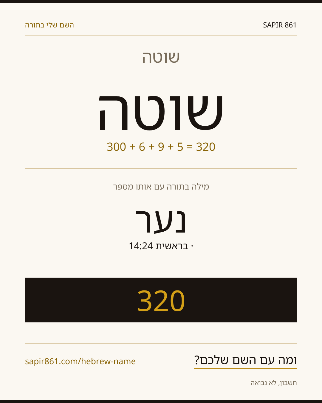 שוטה — שוטה