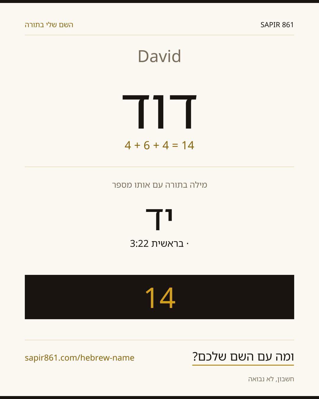 דוגמה לשם דוד