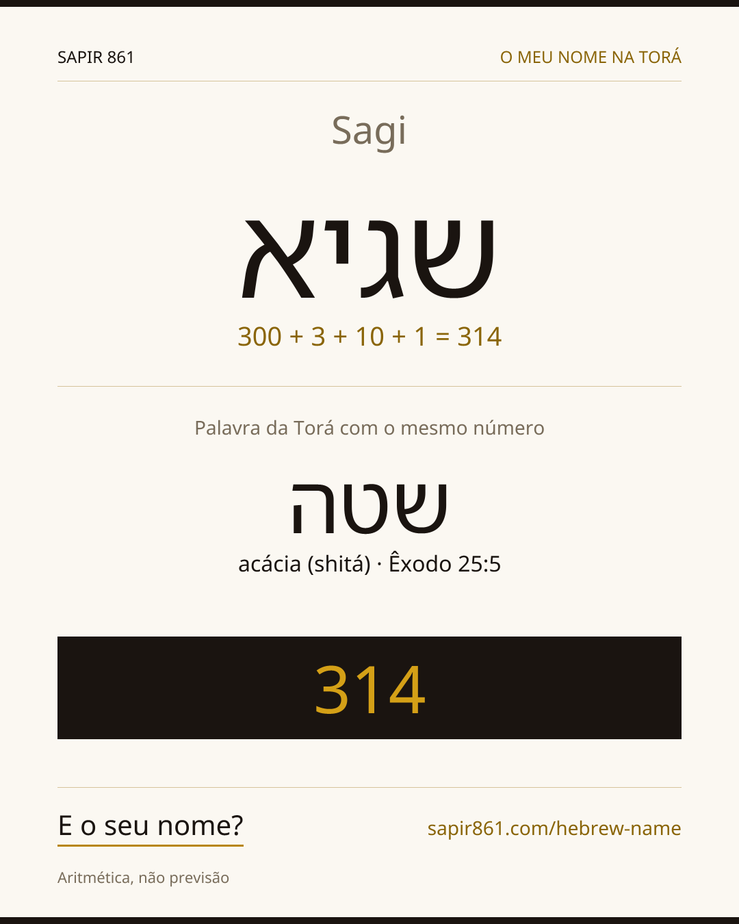 Sagi — שגיא