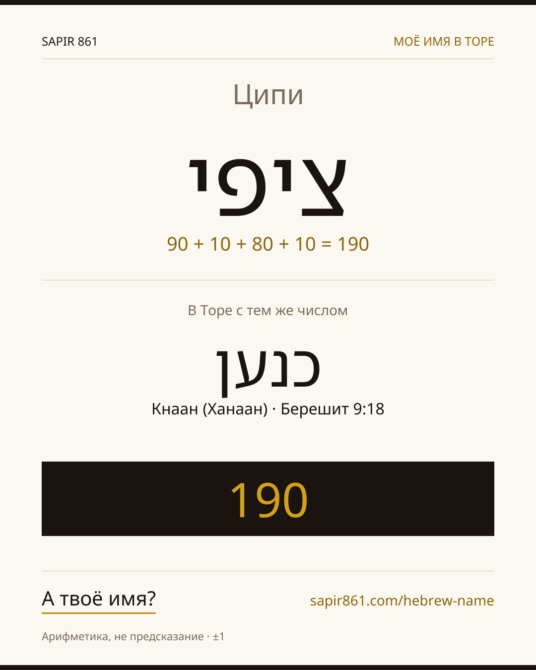 Ципи — ציפי