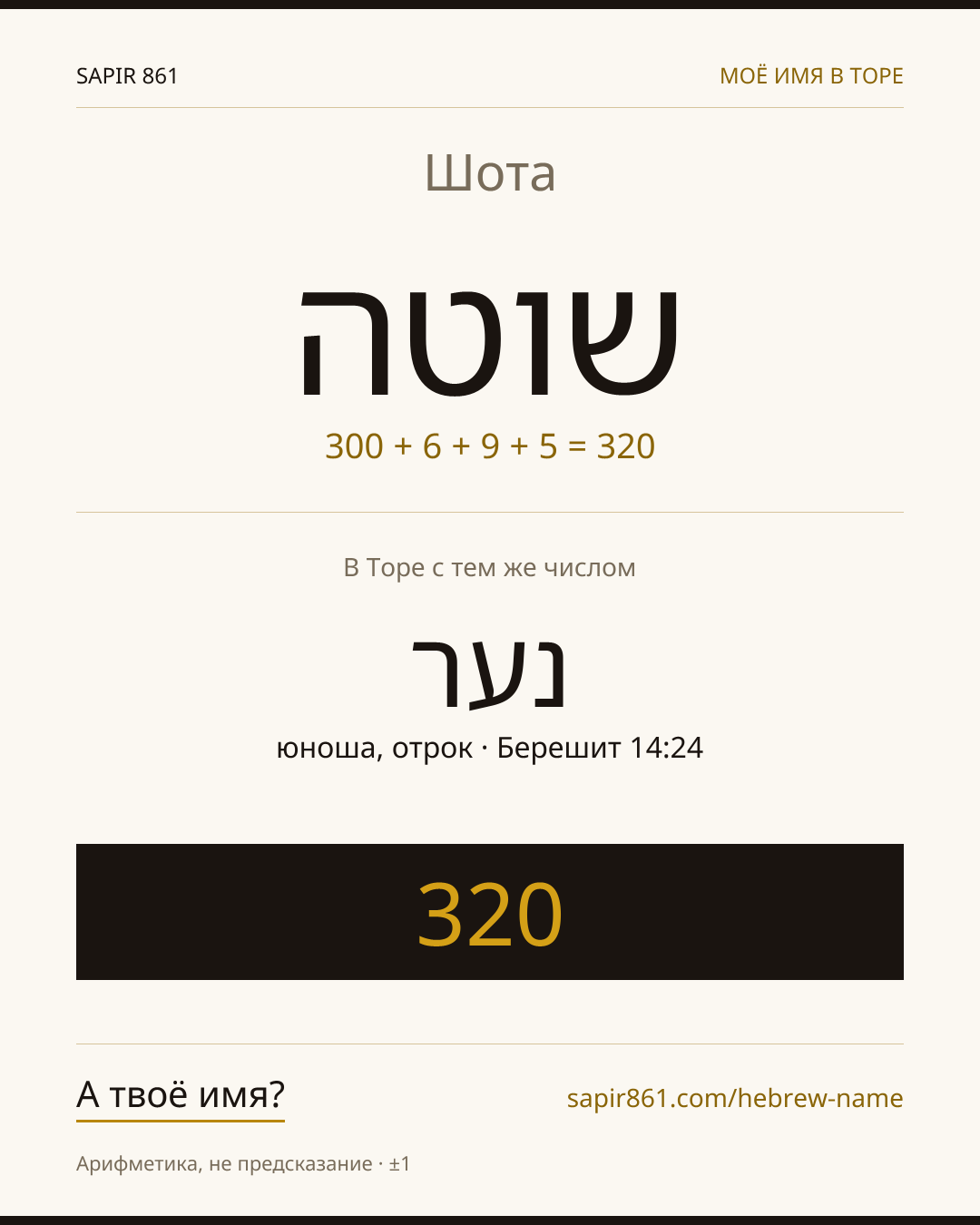 Шота — שוטה