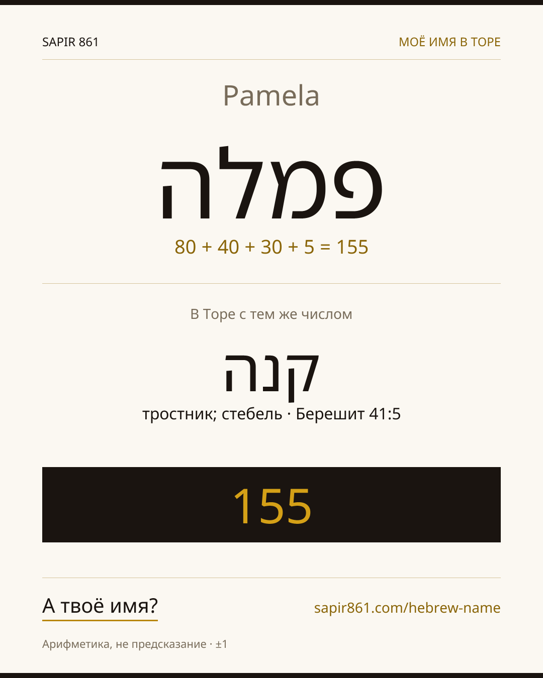 Pamela — פמלה