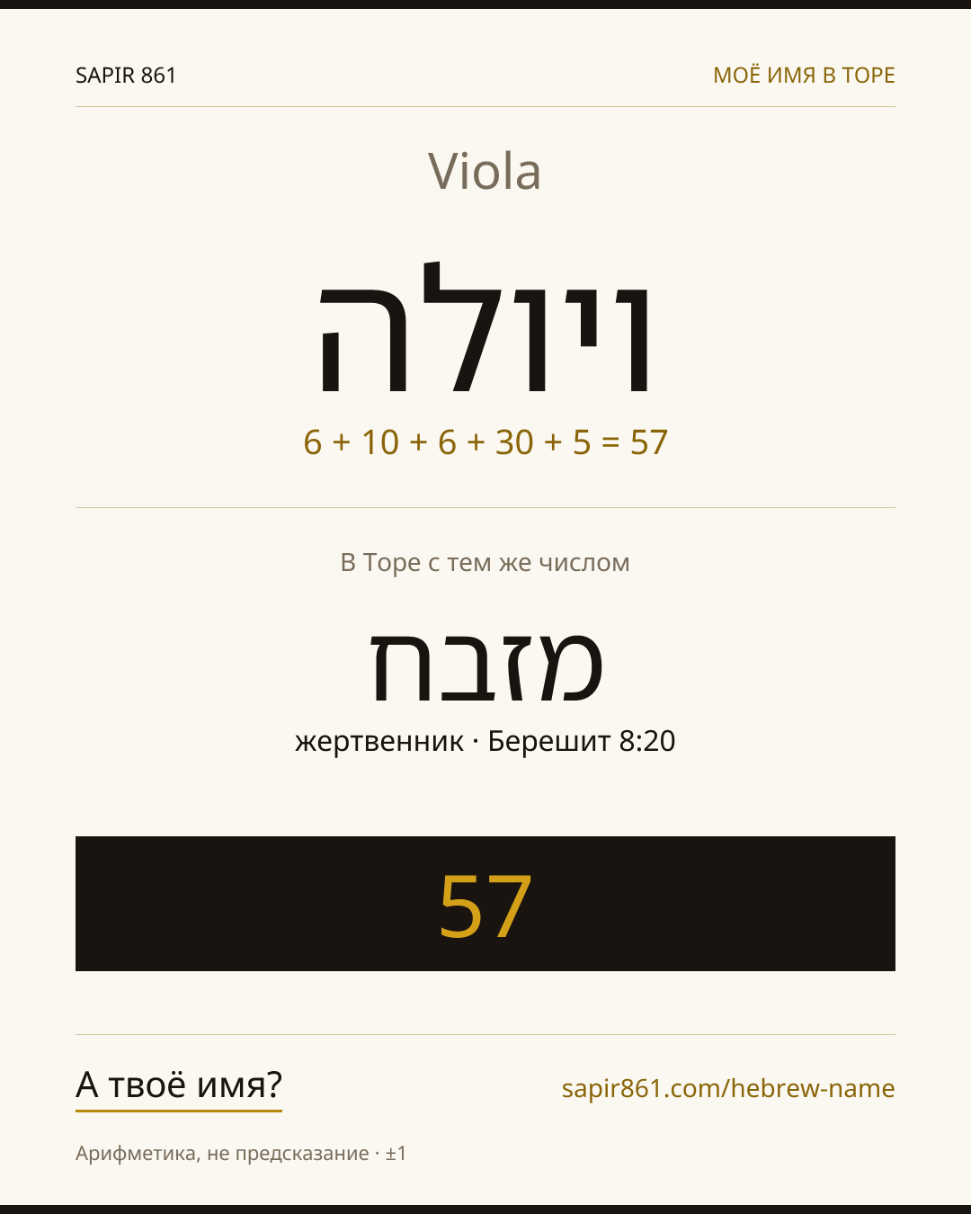 Viola — ויולה