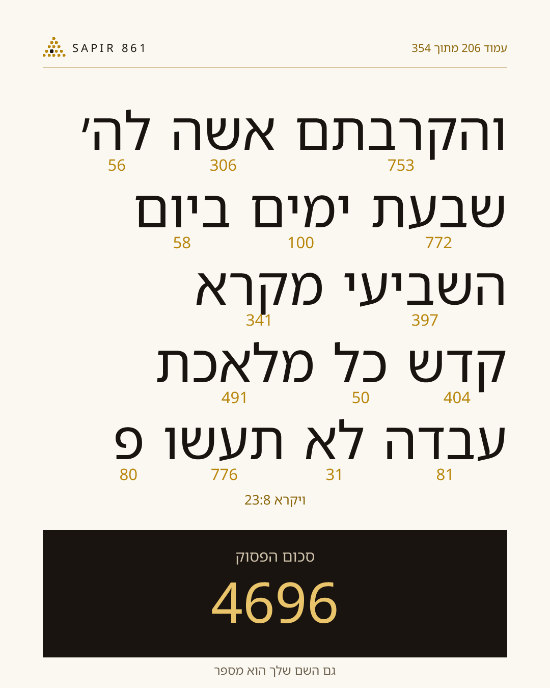 כרטיס פסוק 206