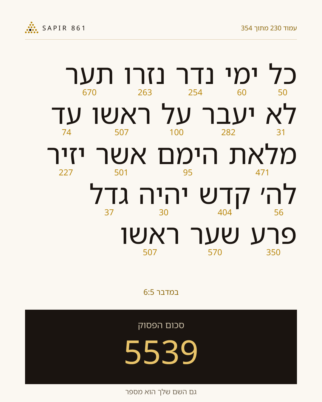 כרטיס פסוק 230