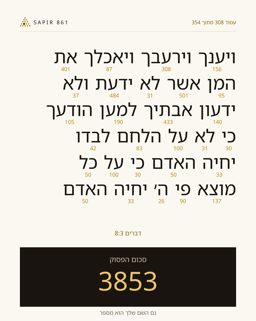 כרטיס פסוק 308