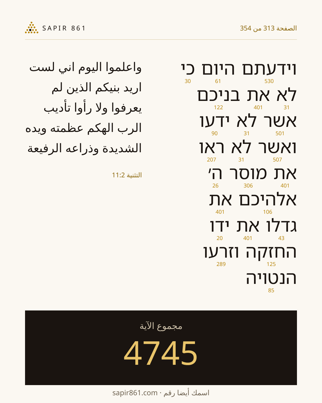 بطاقة الآية 313