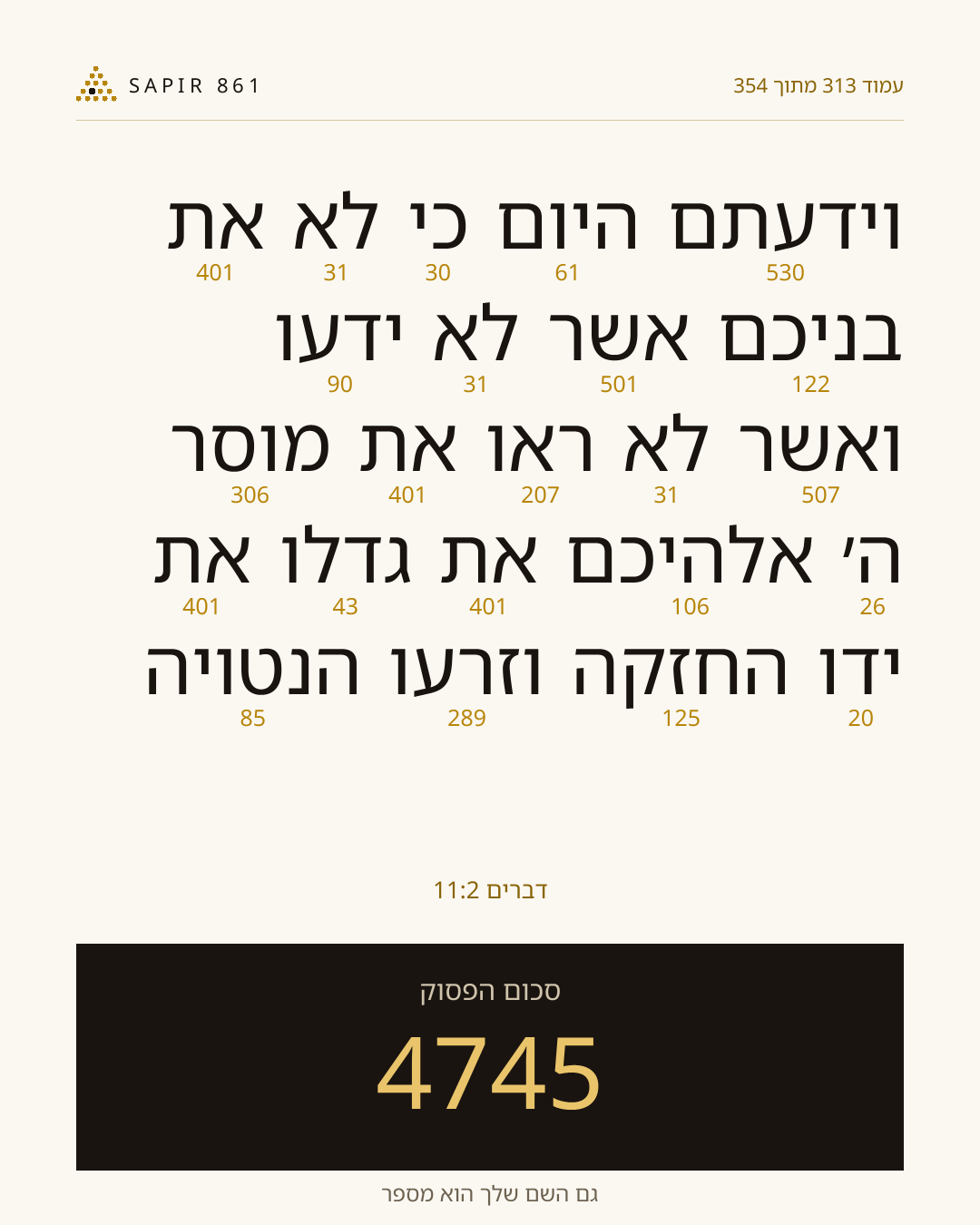 כרטיס פסוק 313
