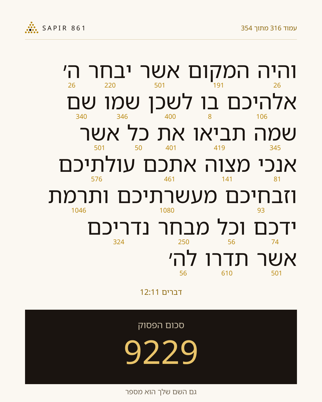 כרטיס פסוק 316